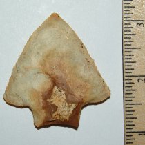 Choco Stem Notchaway