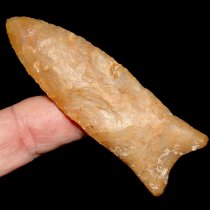 Golden Suwannee HOT PRICE!