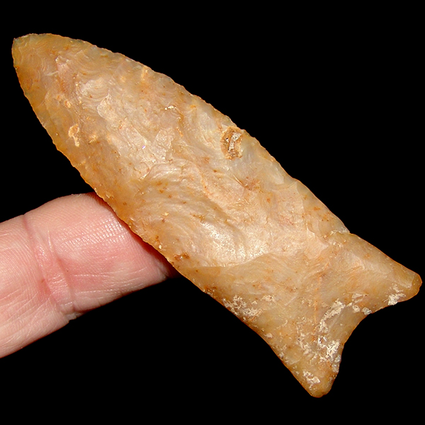 Golden Suwannee HOT PRICE!