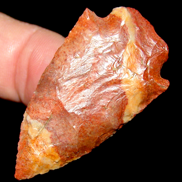 Strawberry Shortcake Allendale