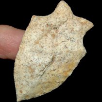 Nipple Tip Savannah River