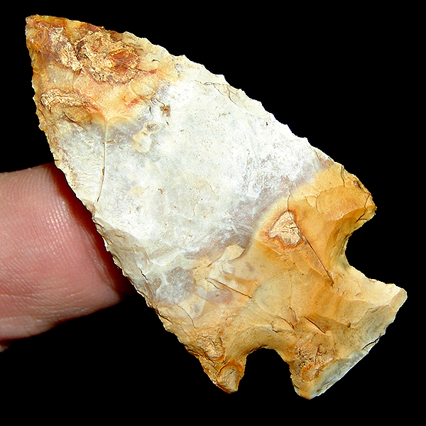 Tri Color Bolen Plain