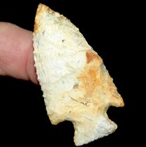 Tri Color Bolen Plain