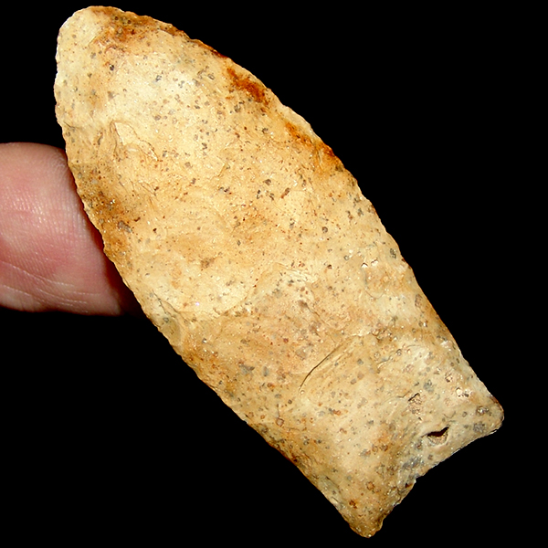 "Blondie" Clovis HOT PRICE