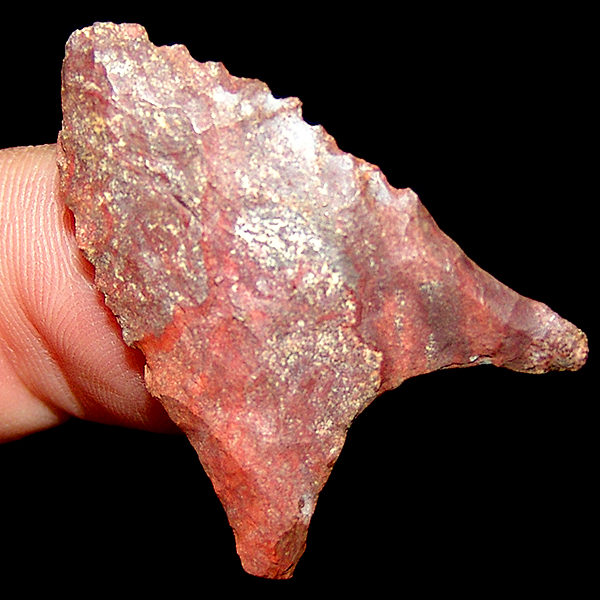 "Oconee" Ocmulgee Dalton