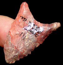 "Oconee" Ocmulgee Dalton