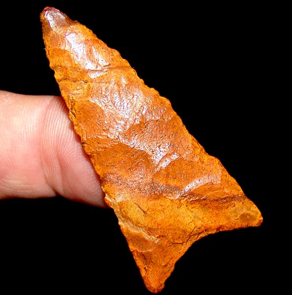 Super Polished Dalton