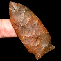 Translucent Greenbriar