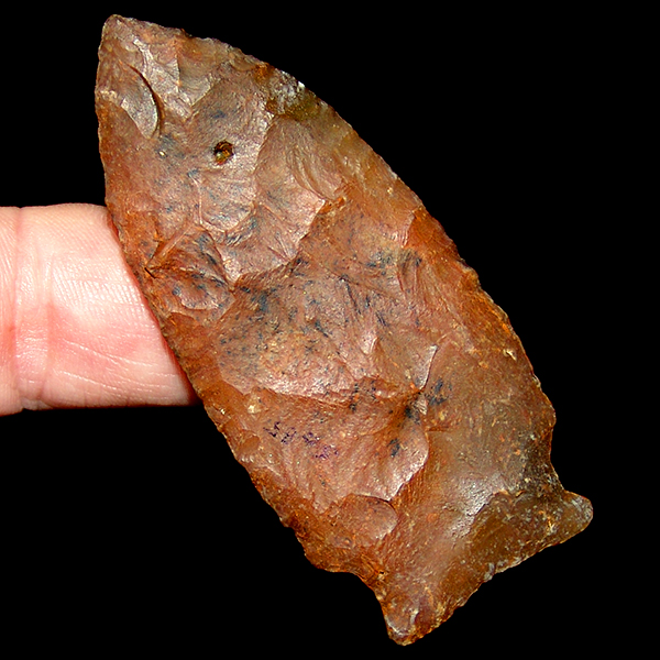 Translucent Greenbriar