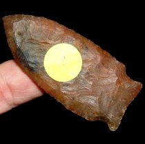 Translucent Greenbriar