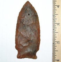 Translucent Greenbriar