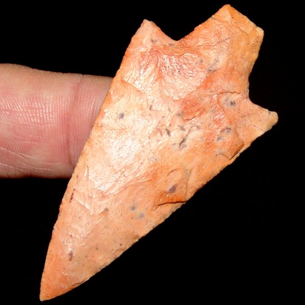 Thin Orange Sherbet Newnan