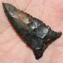 RARE Nuckolls Dalton