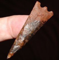 Slender Tampa Style Hernando