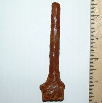 Exquisite MQ Paleo Drill