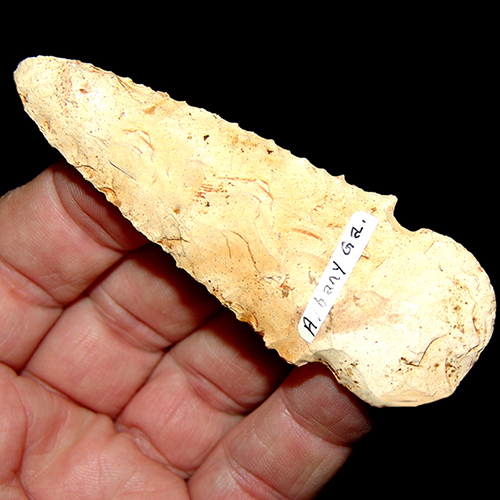 Albany Ga Boggy Branch Type 1