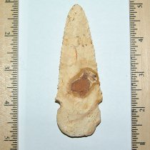 Albany Ga Boggy Branch Type 1