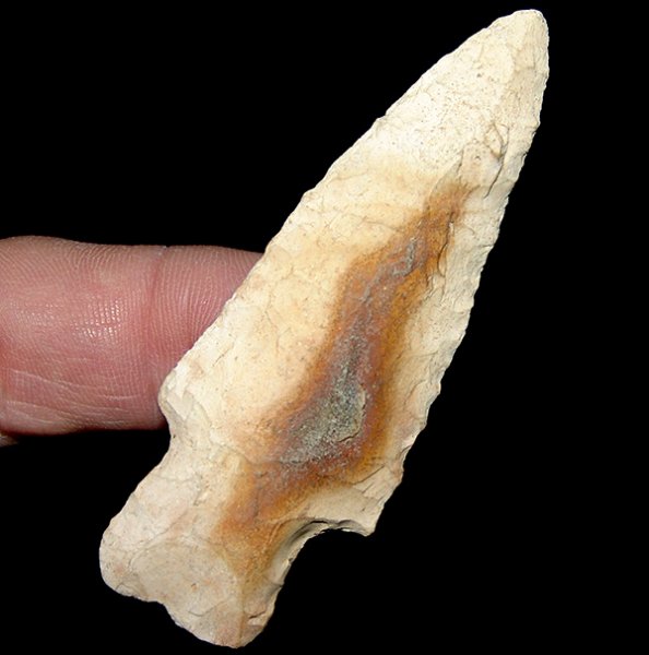 Skidmark Boggy Branch