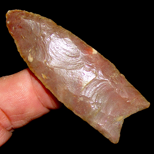 "Purple Rain" Clovis