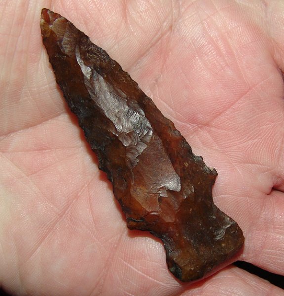 Cane Syrup Boggy Branch