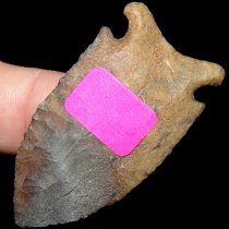 Stamped Out Osceola Greenbriar