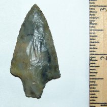 Blue Hues Weeden Island