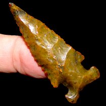 ″Venom″ Big Sandy