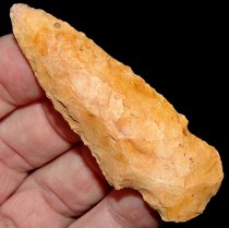 Ol Yeller Boggy Branch