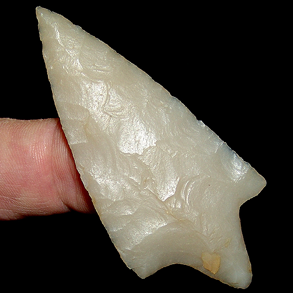 "Ivory" Hillsborough