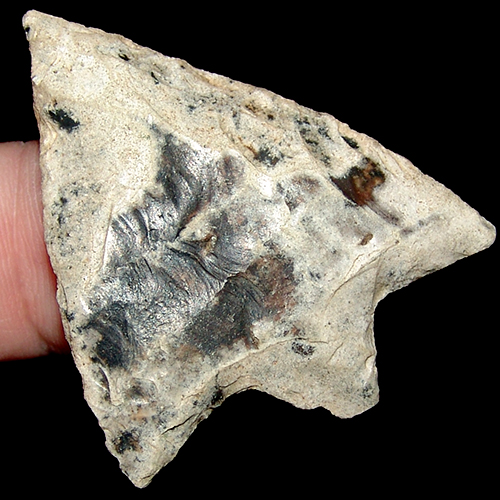 Cookies And Creme Hillsborough