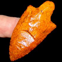 Sunray "fluted" Marion