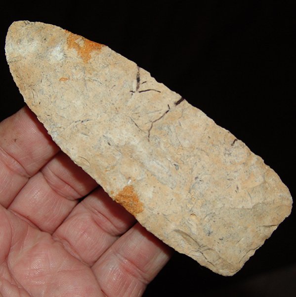 "Spider Vein" Stanfield