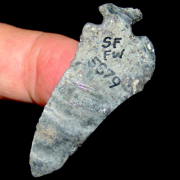 Waller "Blue" Waller SOLD