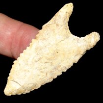 Deeeep Base Ocmulgee Dalton