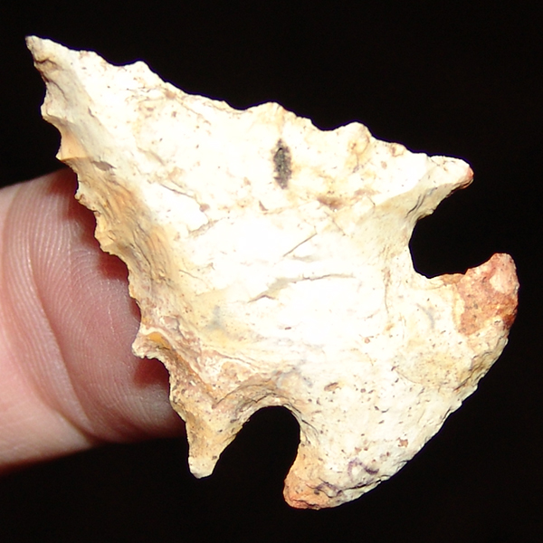 Jagged Dovetail Bolen