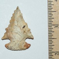 Jagged Dovetail Bolen