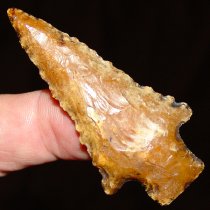 Golden Kirk Serrated