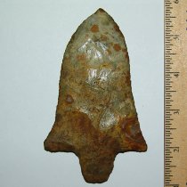 "Martian" Pickwick