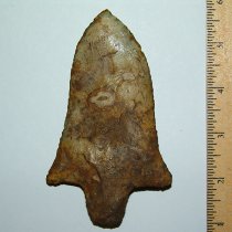 "Martian" Pickwick