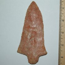 "Pink Champagne" Pickwick