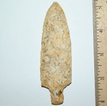 Rare Coker Spear (Kirk)