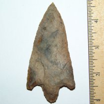 Needle Tip Newnan-Cypress Creek