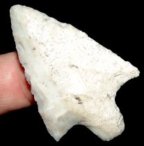White Coral Newnan