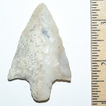 White Coral Newnan