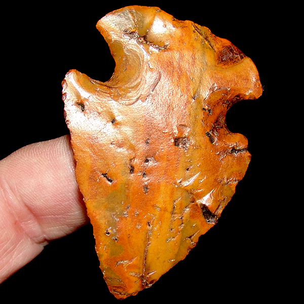 Banded "Woody" Colorful Edgefield