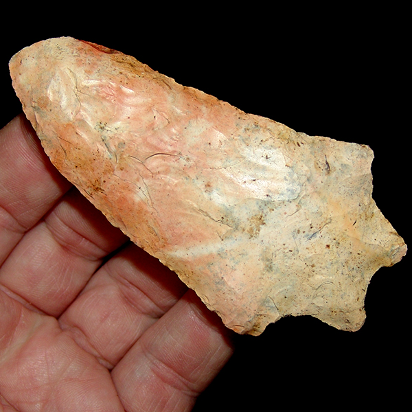 Large Arrendondo