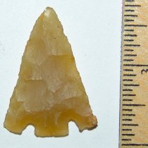 "Lemon Drop" Gem Coral Hernando