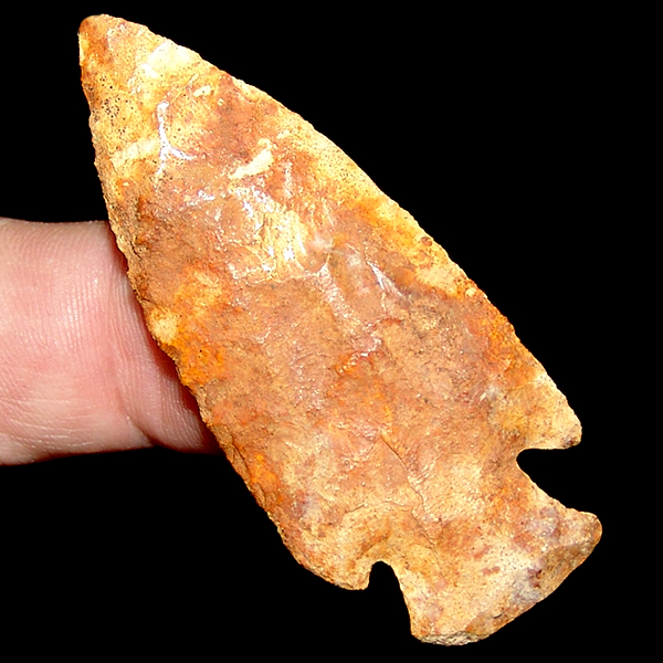 Southern Hardin