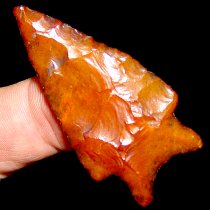 Golden Gem Chipola