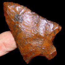 Cocoa Powder Pickwick